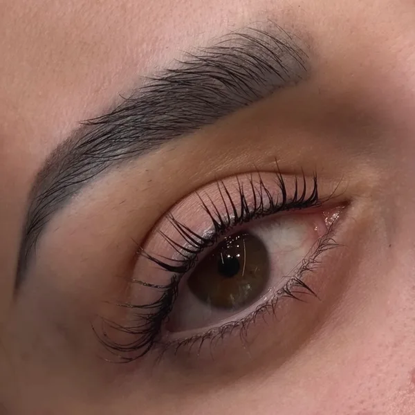 Fylliga fransar och formade bryn – Dilvia Lashes på Instagram