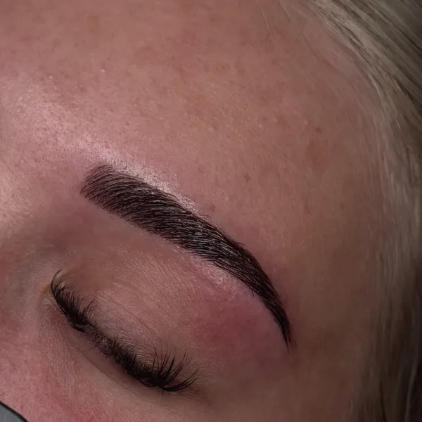 Formade bryn – Dilvia Lashes på Instagram
